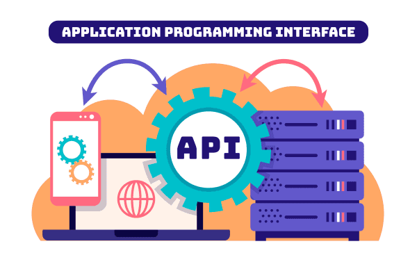 The Power of APIs: How They Drive Our Digital World and Why They Matter for Your Software Application